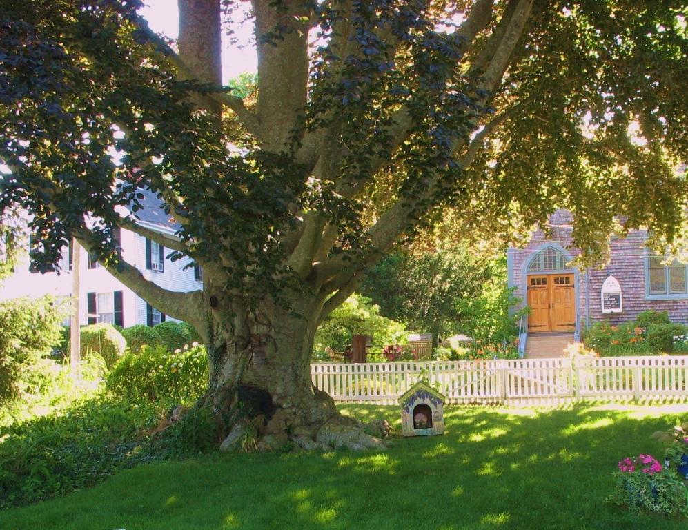 The 1720 House Bed & Breakfast Vineyard Haven Luaran gambar